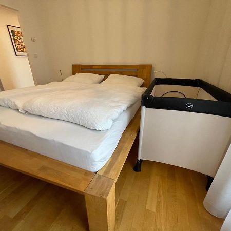 Penthouse Wohnung Am Radweg Mit Dachterasse Waidhofen an der Thaya Kültér fotó