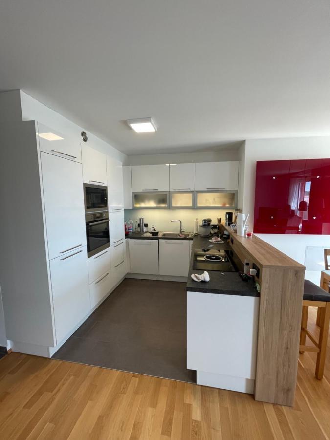 Penthouse Wohnung Am Radweg Mit Dachterasse Waidhofen an der Thaya Kültér fotó